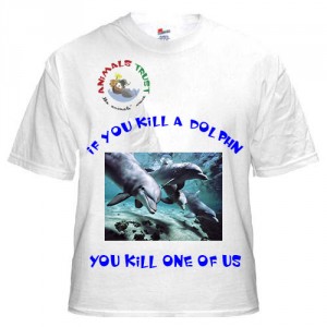 If you kill a Dolphin you kill one of us